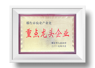 九游娱乐官网首页